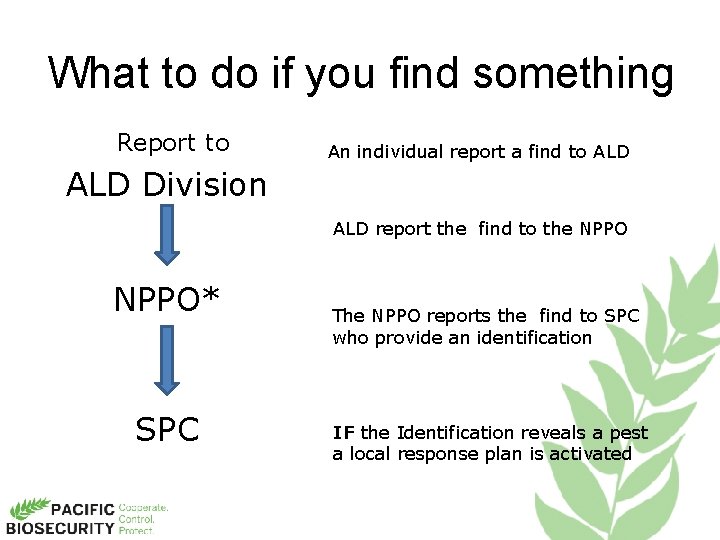 What to do if you find something Report to An individual report a find