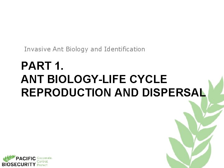 Invasive Ant Biology and Identification PART 1. ANT BIOLOGY-LIFE CYCLE REPRODUCTION AND DISPERSAL 