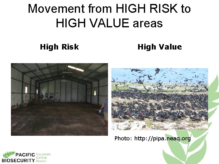 Movement from HIGH RISK to HIGH VALUE areas High Risk High Value Photo: http:
