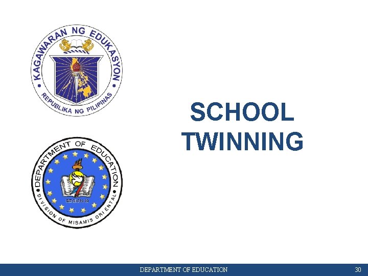 SCHOOL TWINNING DEPARTMENT OF EDUCATION 30 