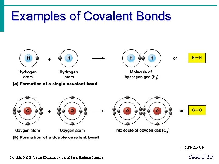 Examples of Covalent Bonds Figure 2. 6 a, b Copyright © 2003 Pearson Education,