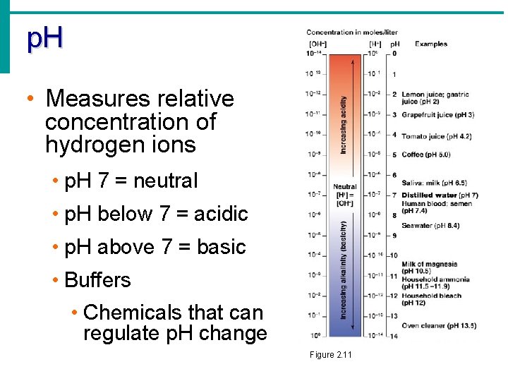 p. H • Measures relative concentration of hydrogen ions • p. H 7 =