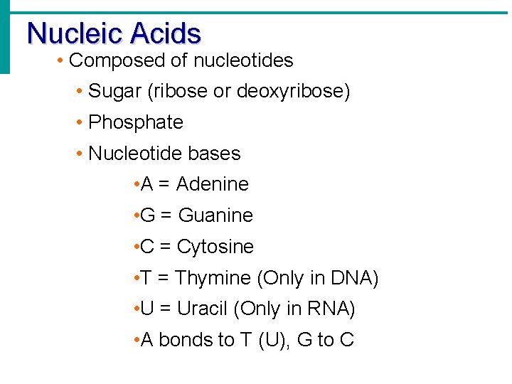 Nucleic Acids • Composed of nucleotides • Sugar (ribose or deoxyribose) • Phosphate •