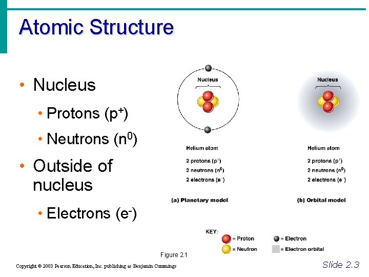 Atomic Structure • Nucleus • Protons (p+) • Neutrons (n 0) • Outside of