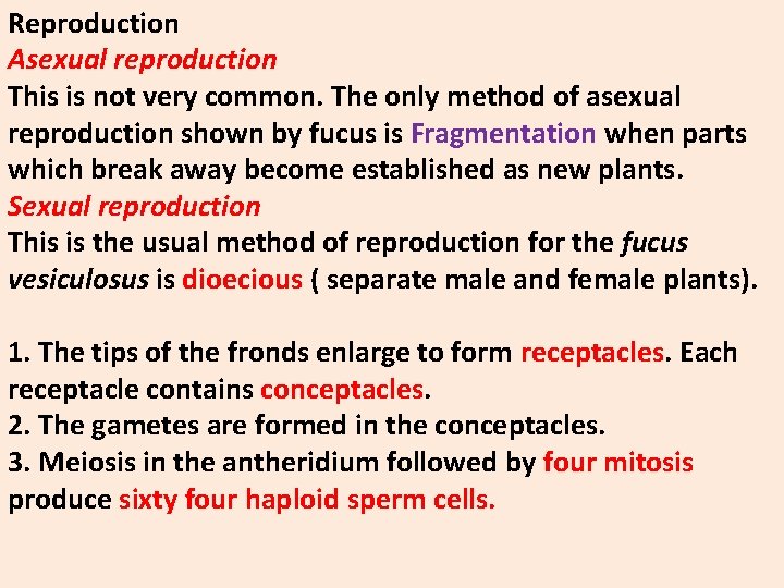 Reproduction Asexual reproduction This is not very common. The only method of asexual reproduction