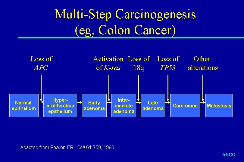 Multi-Step Carcinogenesis (eg, Colon Cancer) Loss of APC Normal epithelium Hyperproliferative epithelium Activation Loss