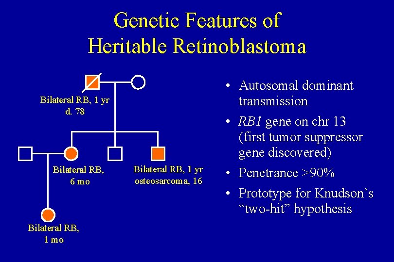 Genetic Features of Heritable Retinoblastoma Bilateral RB, 1 yr d. 78 Bilateral RB, 6