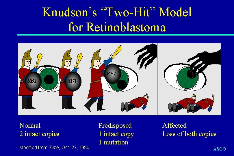 Knudson’s “Two-Hit” Model for Retinoblastoma Normal 2 intact copies Modified from Time, Oct. 27,