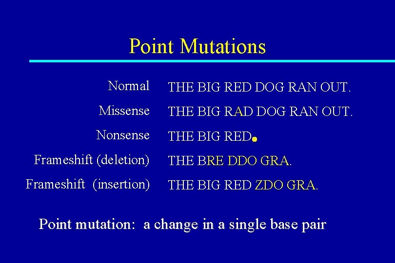 Point Mutations Normal THE BIG RED DOG RAN OUT. Missense THE BIG RAD DOG