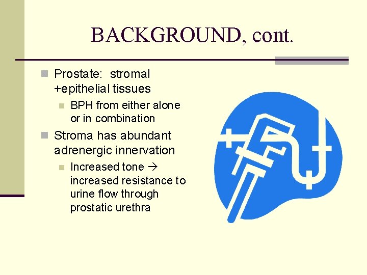 BACKGROUND, cont. n Prostate: stromal +epithelial tissues n BPH from either alone or in