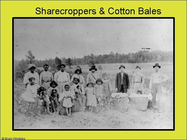 Sharecroppers & Cotton Bales © Brain Wrinkles 