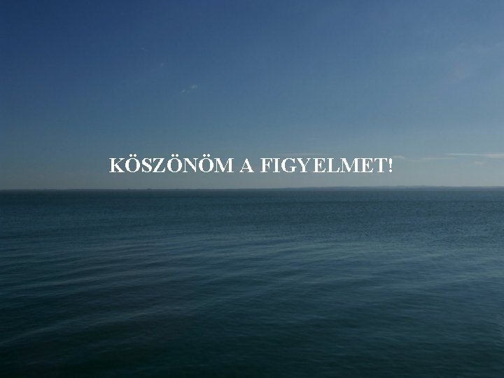 KÖSZÖNÖM A FIGYELMET! 