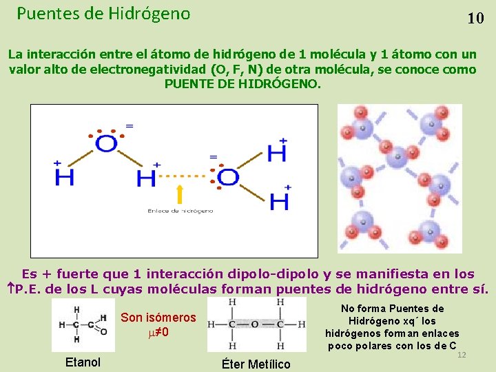 Puentes de Hidrógeno 10 La interacción entre el átomo de hidrógeno de 1 molécula