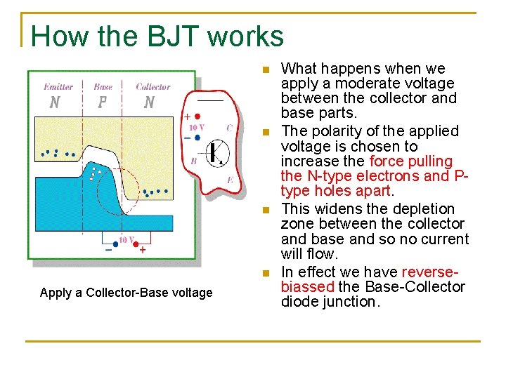 How the BJT works n n Apply a Collector-Base voltage What happens when we