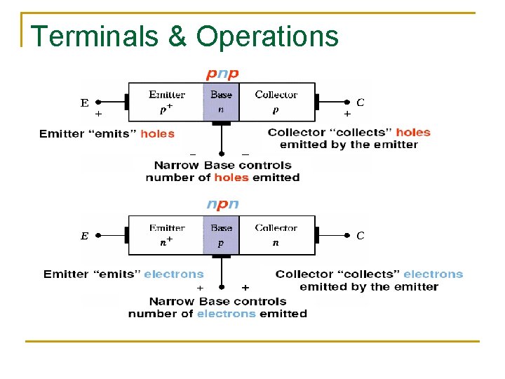 Terminals & Operations 