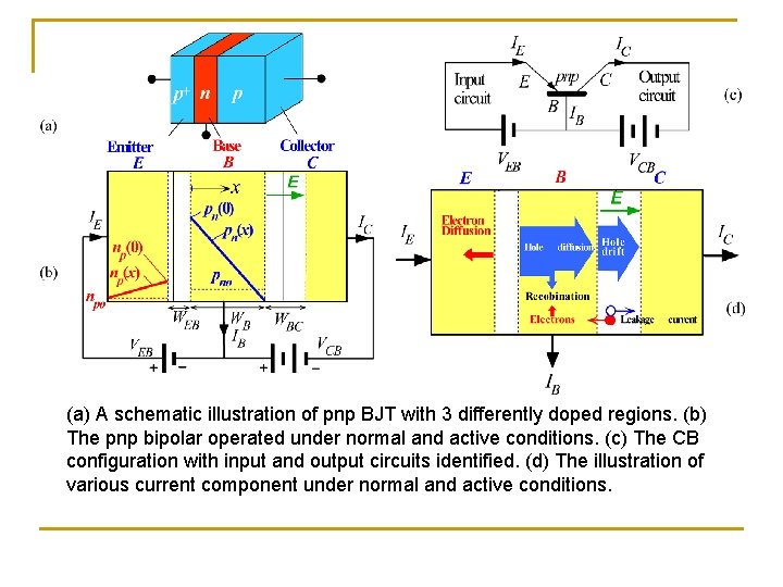 (a) A schematic illustration of pnp BJT with 3 differently doped regions. (b) The