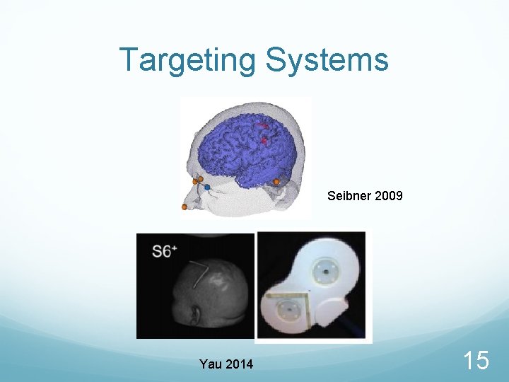 Targeting Systems Seibner 2009 Yau 2014 15 