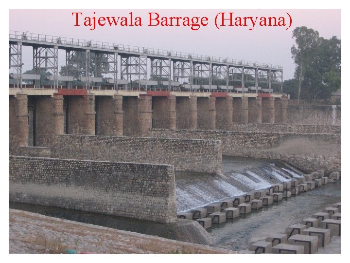 Tajewala Barrage (Haryana) 