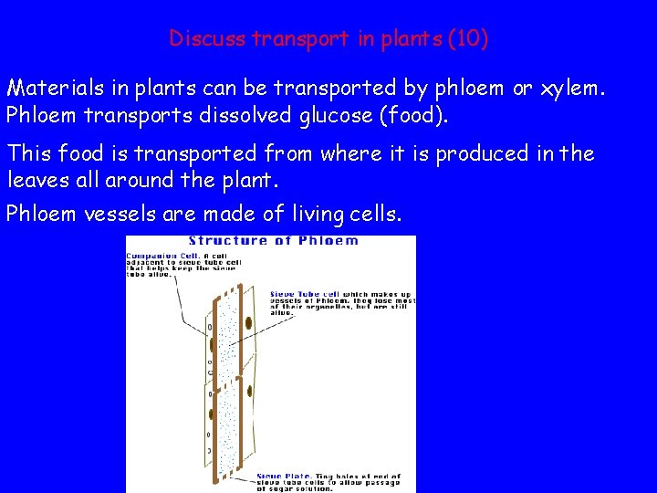 Discuss transport in plants (10) Materials in plants can be transported by phloem or