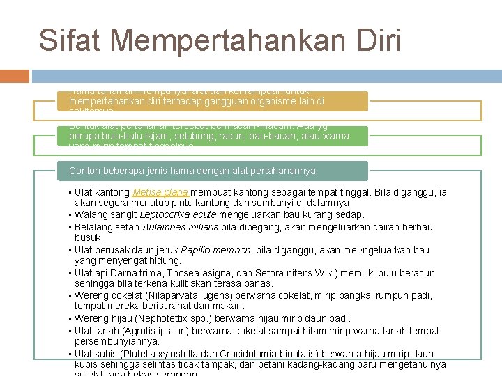 Sifat Mempertahankan Diri Hama tanaman mempunyai alat dan kemampuan untuk mempertahankan diri terhadap gangguan