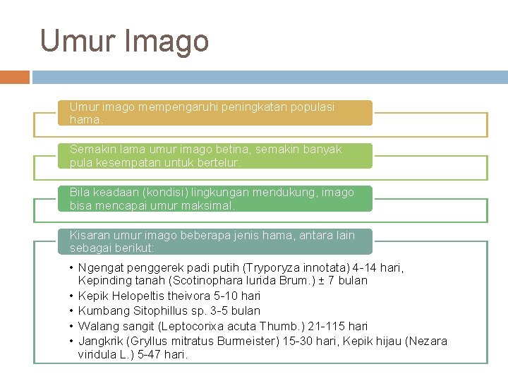 Umur Imago Umur imago mempengaruhi peningkatan populasi hama. Semakin lama umur imago betina, semakin