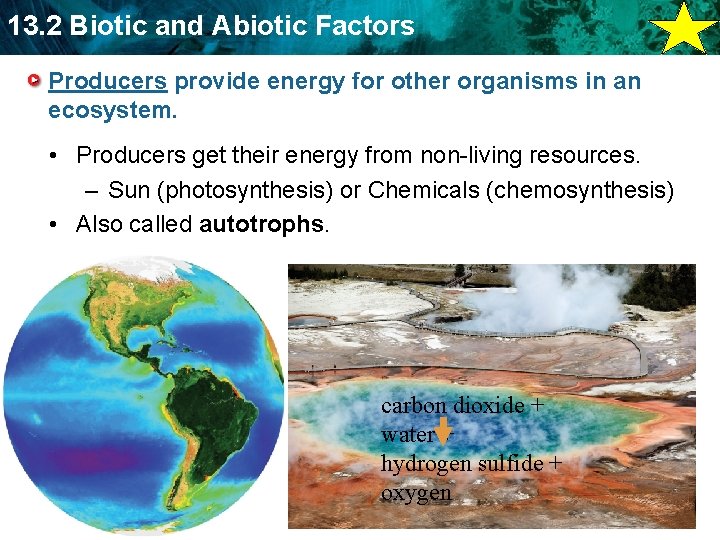 13. 2 Biotic and Abiotic Factors Producers provide energy for other organisms in an