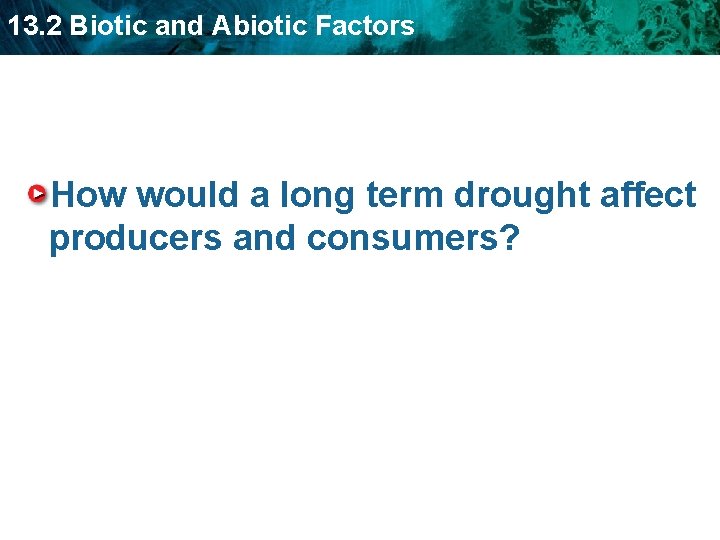 13. 2 Biotic and Abiotic Factors How would a long term drought affect producers