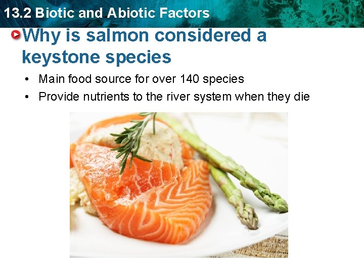 13. 2 Biotic and Abiotic Factors Why is salmon considered a keystone species •