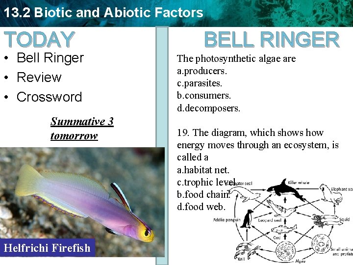 13. 2 Biotic and Abiotic Factors TODAY • Bell Ringer • Review • Crossword