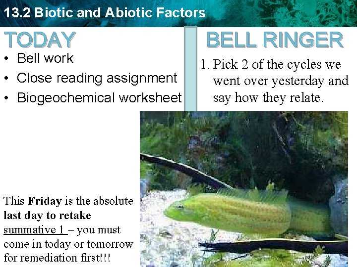 13. 2 Biotic and Abiotic Factors TODAY • Bell work • Close reading assignment