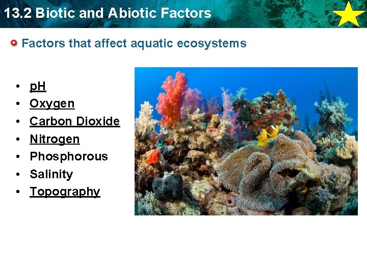 13. 2 Biotic and Abiotic Factors that affect aquatic ecosystems • • p. H