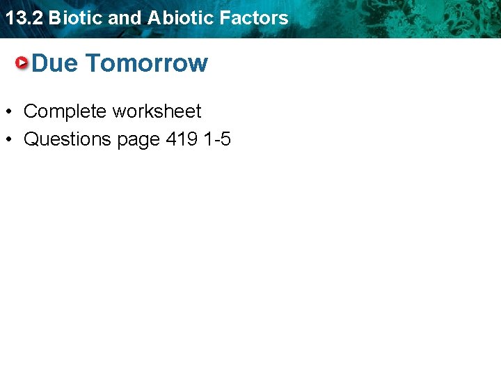 13. 2 Biotic and Abiotic Factors Due Tomorrow • Complete worksheet • Questions page