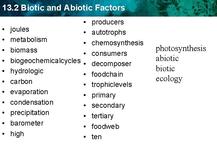 13. 2 Biotic and Abiotic Factors • • joules • • metabolism • •