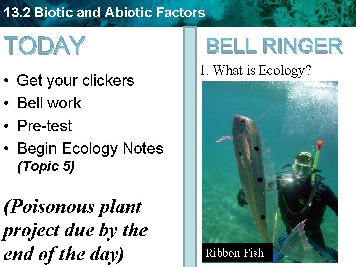 13. 2 Biotic and Abiotic Factors TODAY • • Get your clickers Bell work