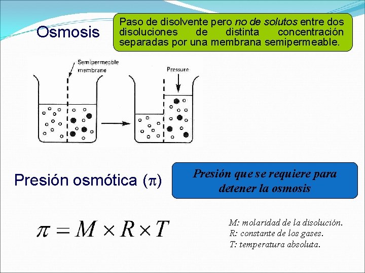 Osmosis Paso de disolvente pero no de solutos entre dos disoluciones de distinta concentración