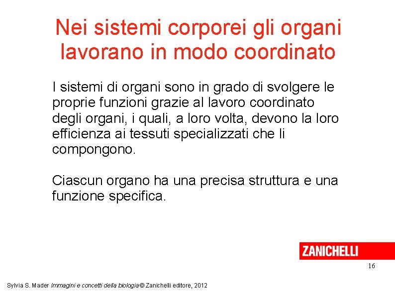 Nei sistemi corporei gli organi lavorano in modo coordinato I sistemi di organi sono