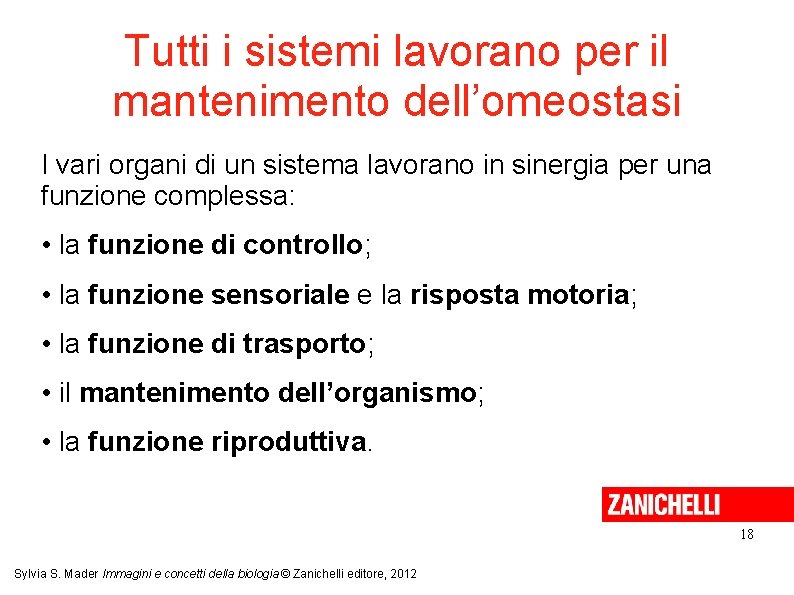 Tutti i sistemi lavorano per il mantenimento dell’omeostasi I vari organi di un sistema
