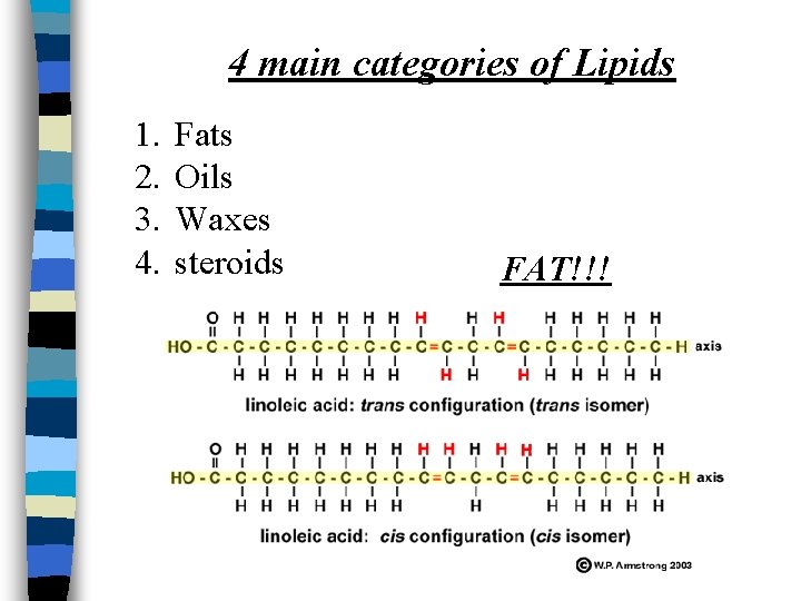 4 main categories of Lipids 1. 2. 3. 4. Fats Oils Waxes steroids FAT!!!