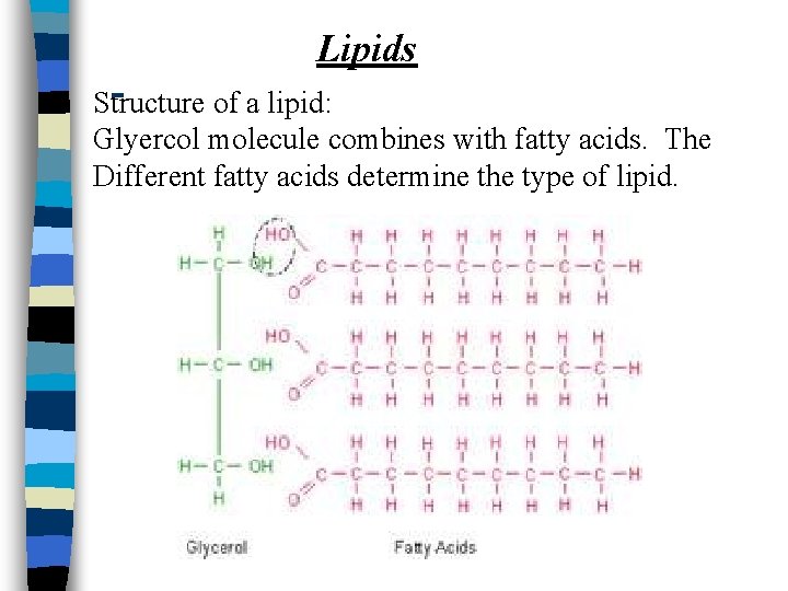 Lipids Structure of a lipid: Glyercol molecule combines with fatty acids. The Different fatty