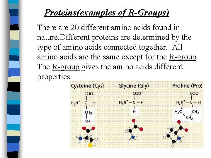 Proteins(examples of R-Groups) There are 20 different amino acids found in nature. Different proteins