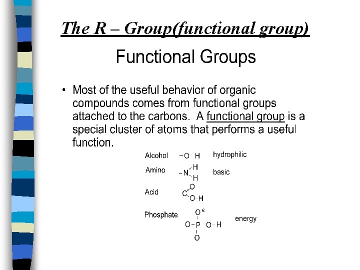 The R – Group(functional group) 