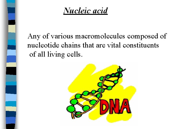 Nucleic acid Any of various macromolecules composed of nucleotide chains that are vital constituents