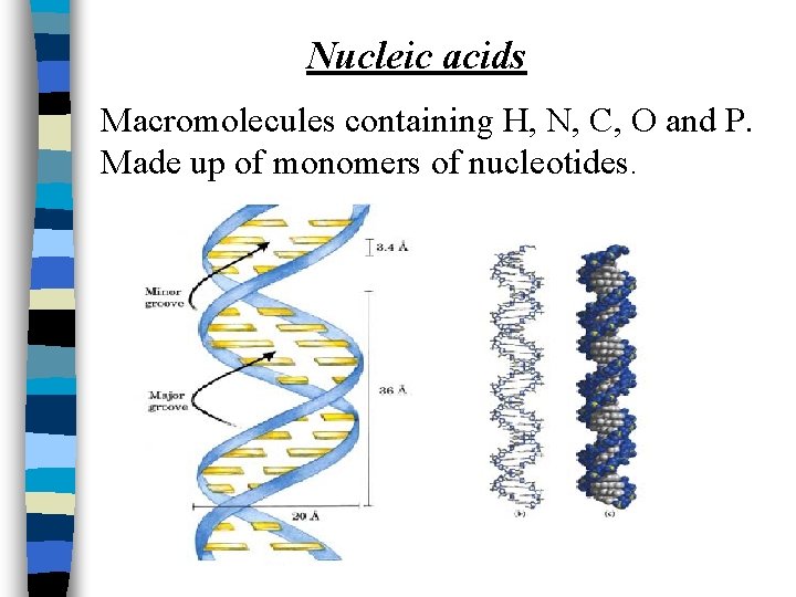 Nucleic acids Macromolecules containing H, N, C, O and P. Made up of monomers