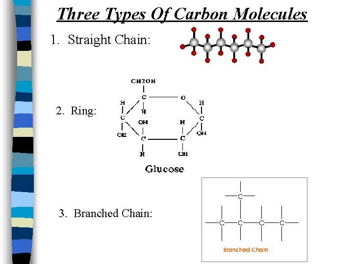 Three Types Of Carbon Molecules 1. Straight Chain: 2. Ring: 3. Branched Chain: 