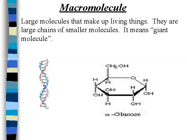 Macromolecule Large molecules that make up living things. They are large chains of smaller