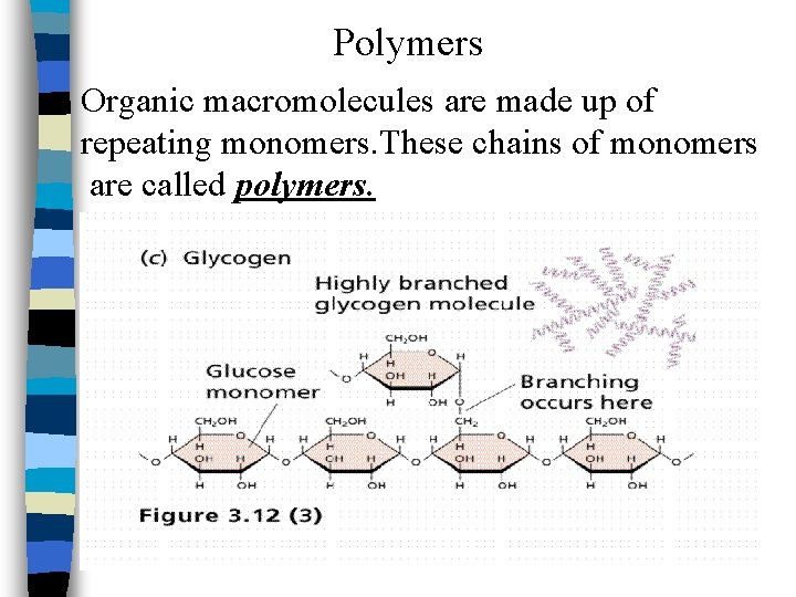 Polymers Organic macromolecules are made up of repeating monomers. These chains of monomers are