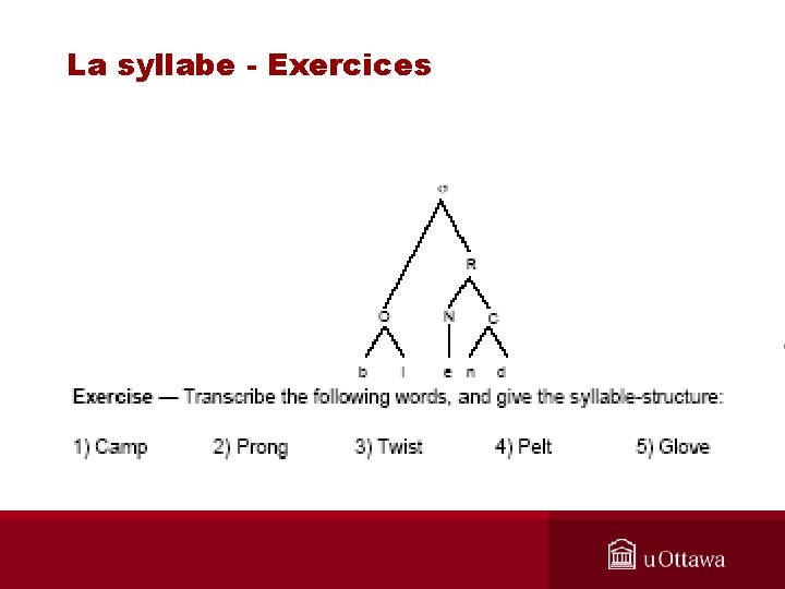 La syllabe - Exercices 