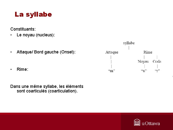 La syllabe Constituants: • Le noyau (nucleus): • Attaque/ Bord gauche (Onset): • Rime: