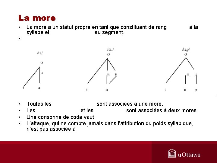 La more • • • La more a un statut propre en tant que