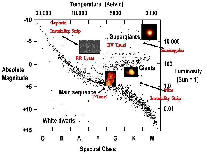 Cepheid Instability Strip RV Tauri RR Lyrae T-Tauri Semiregular Mira Instability Strip 